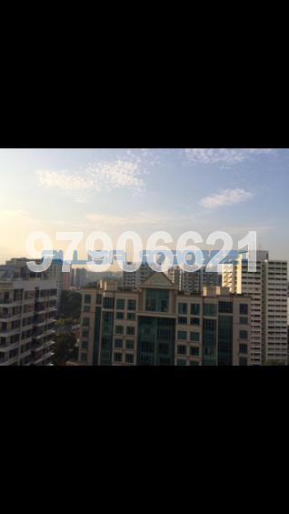Butterworth 8 (D15), Condominium #83663502